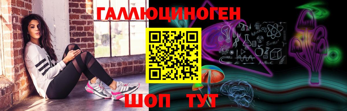 Галлюциногенные грибы Cubensis Балашов