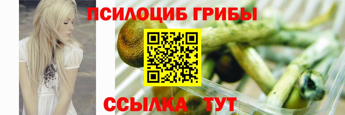 Балашов  Галлюциногенные грибы ЛСД  закладка  Вход с VPN 